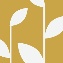 Vector graphic of peanut plant leaves